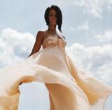 http://img172.imagevenue.com/loc595/th_52664_rihanna281_123_595lo.jpg